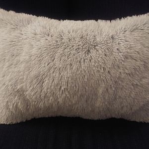 Decorative oblong couch/bed pillows